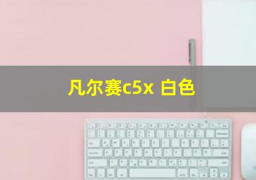 凡尔赛c5x 白色